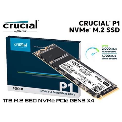 ct1000p1ssd8