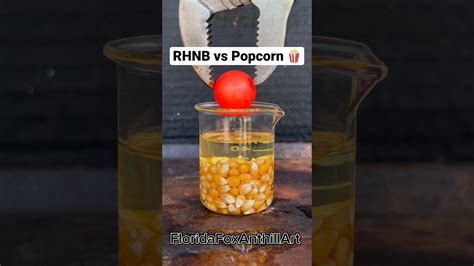 rhnb